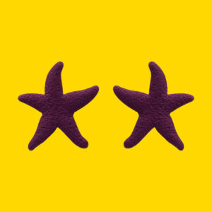 Estrella de mar burdeos
