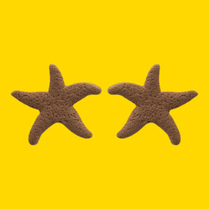 Estrella de mar coral