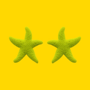 Estrella de mar lima