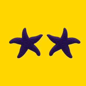 Estrella de mar morada